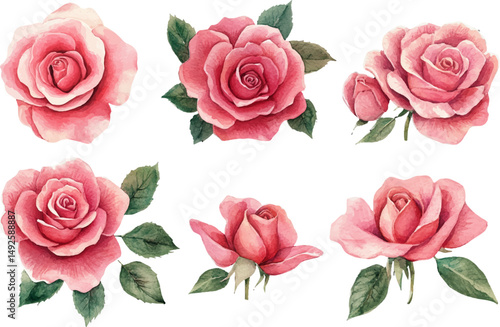 set of pink roses