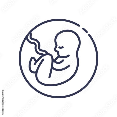 Line art of a fetus in the womb, symbolizing prenatal development and imaging.