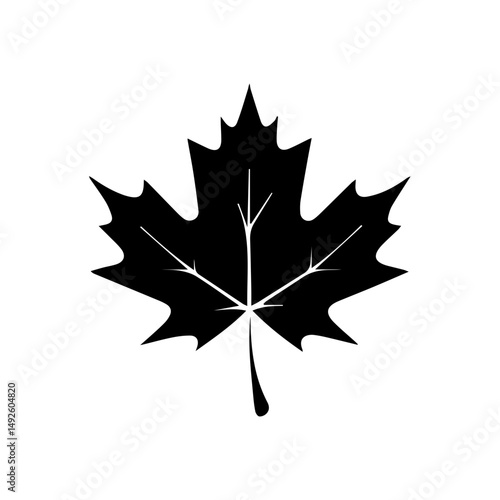 Maple Leaf Silhouette: A minimalist silhouette of a maple leaf, showcasing the intricate details and iconic shape, set against a clear background.
