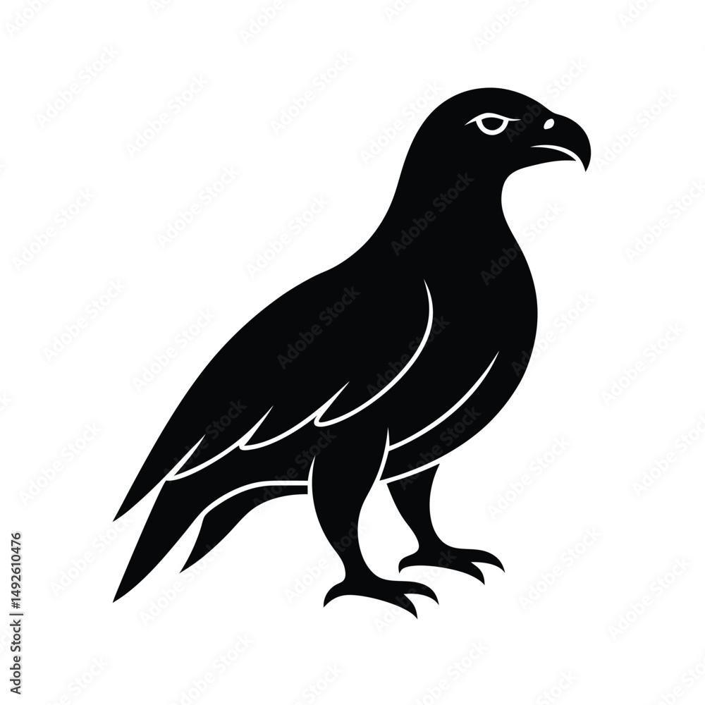 Fototapeta premium Silhouette of a Eagle