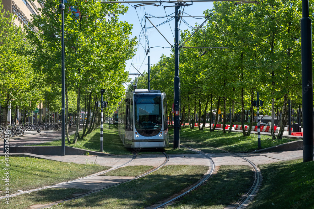 Tram in Rotterdam city, public transportation, sunny day in Netherlands Holland