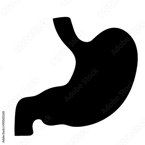 stomach silhouette illustration useful for educational and healthcare industry projects.eps