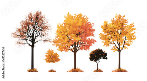 Autumn trees collection, sycamore, maple, platanus, street greenery, fallen leaves, isolated png, garden design, park scenery, seasonal nature, vector illustration.