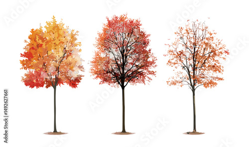 Set of autumn street trees, sycamore, platanus, maple, small and middle size, fallen leaves, isolated cutout, urban landscaping, seasonal foliage, vector illustration.