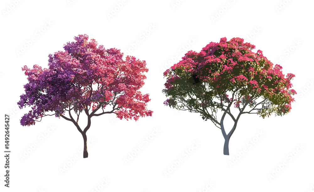 Obraz premium Set of Delonix regia and Jacaranda mimosifolia blossoming tree isolated cutout, tropical flowering plants, exotic garden, vibrant nature, summer bloom, vector illustration.