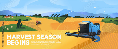 Harvesting banner design. Harvester machines gather grain in farm field. Farming machinery haymaking, pick up harvest of wheat, hay. Combines work in countryside landscape. Flat vector illustration