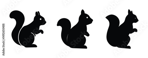 Squirrel silhouettes set, large pack of vector silhouette design, isolated white background.