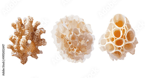 Halogeton glomeratus saltlover Aral barilla halogeton isolated cutout tree, desert shrub, salt-tolerant plant, xerophyte vegetation, arid land flora, vector illustration.