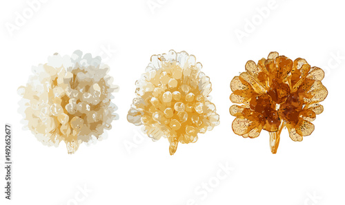 Halogeton glomeratus saltlover Aral barilla halogeton isolated tree cutout, saline soil plant, desert flora, drought resistant shrub, xeric vegetation, vector illustration.