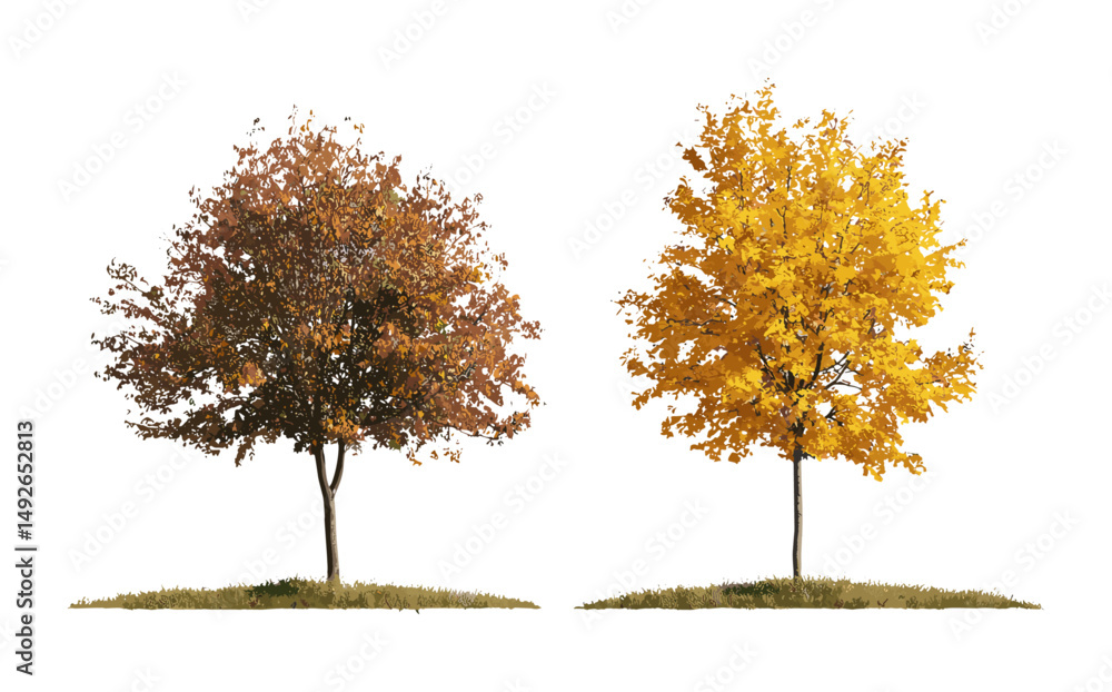 Fototapeta premium Autumn trees set with Hamamelis × intermedia, Populus tremula, isolated vector illustration, small deciduous trees, seasonal design, landscape composition, cutout, nature tree.