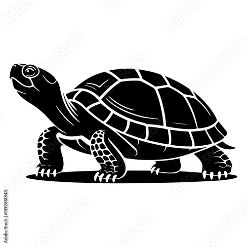 Single tortoise silhouette vector design