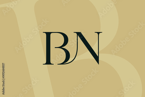 BN or NB letter logo icon design. Classic style luxury initials monogram.