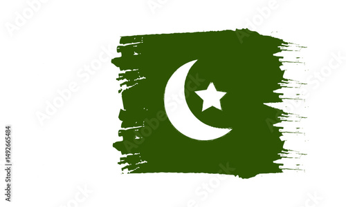 Pakistani flag vector illustration.