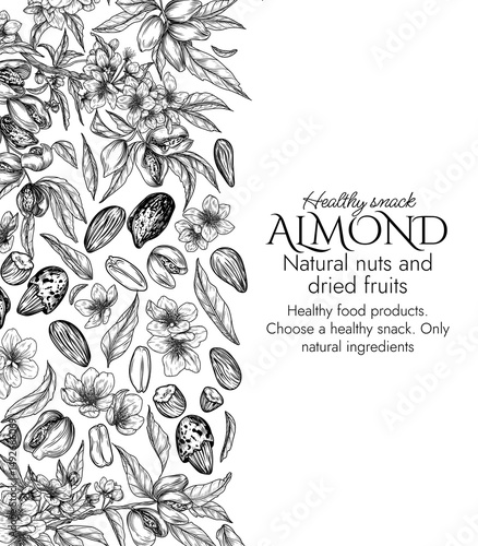 Vector template with a branch of blooming almonds in engraving style. Graphic banner with nuts on a tree. Frame with the cultivation of a healthy snack. Nuts in shell and in cut form, almond flakes