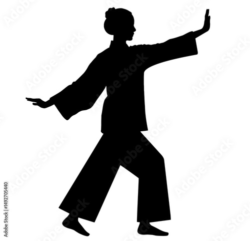 Silhouette of Person Practicing Tai Chi or Qigong Pose. Eastern Martial Arts, Health, Balance, Meditation, Mind-Body Harmony for World Tai Chi and Qigong Day. International Martial Arts Day, World Hea