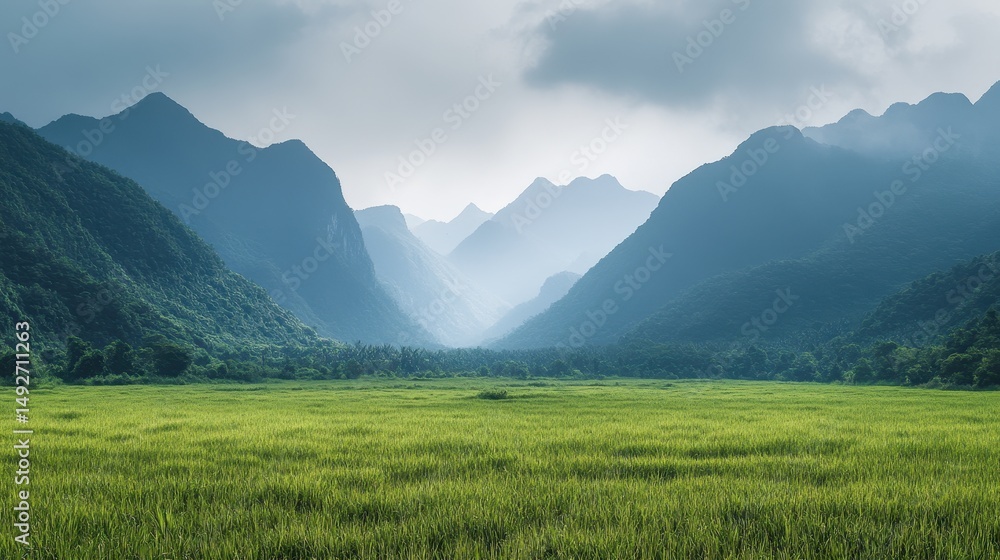 Obraz premium Verdant field meets hazy mountains, a peaceful scenic view of nature. Use for travel blogs, inspirational backgrounds, or ecological projects.