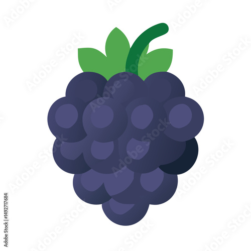 Stylized blackberry illustration with leaves on black background