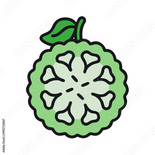 Cross section of a stylized flat green jackfruit