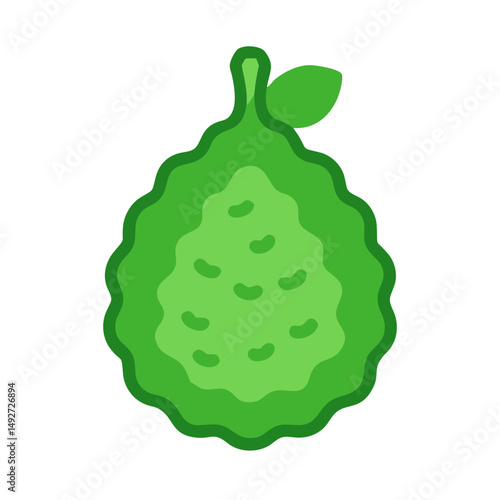 Green bumpy Buddha's hand fruit on black background illustration