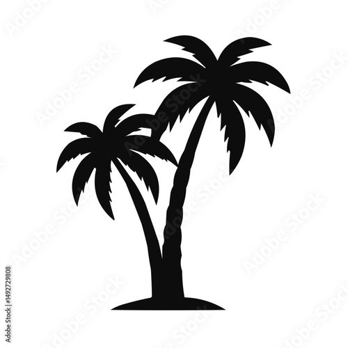 palm tree silhouette