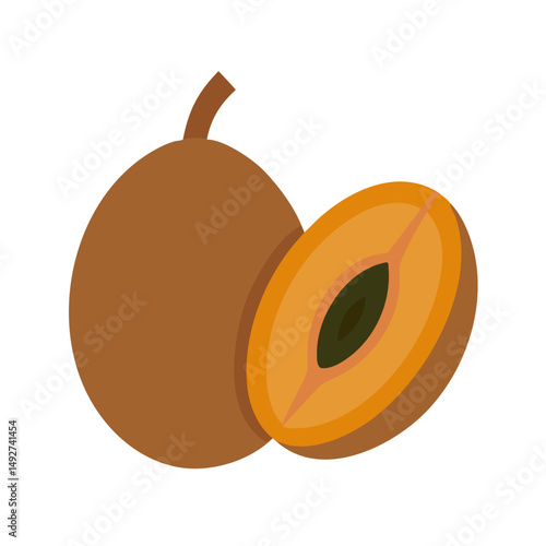 Flat vector illustration of sapodilla fruit isolated on black