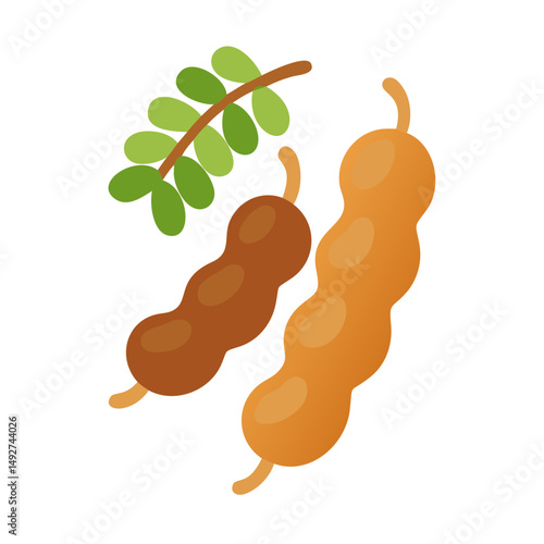 Tamarind pods with leaf vector on black background illustration