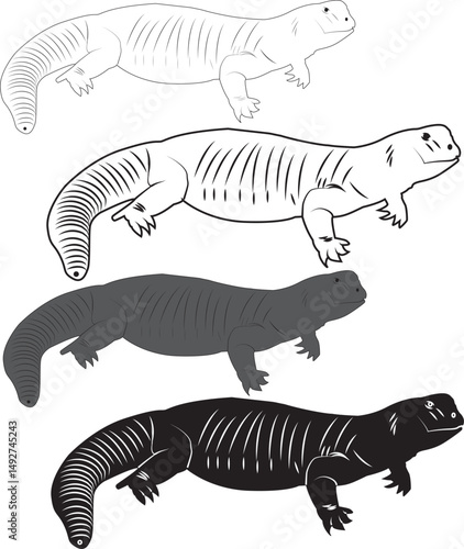 Sanda, sonda, shanda, gui