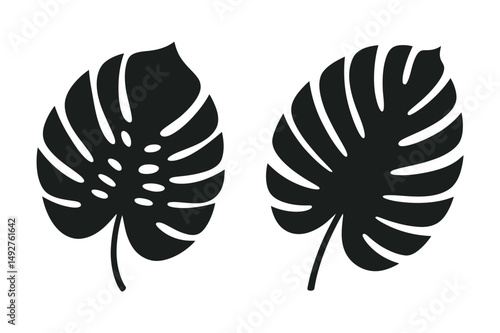Monstera leaf vector illustration tropical design