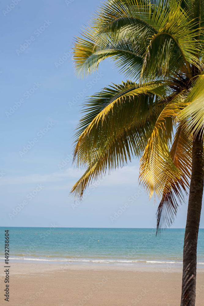 Obraz premium Beach with coconut trees, sky and clear sea on a relaxing day, perfect for a background.