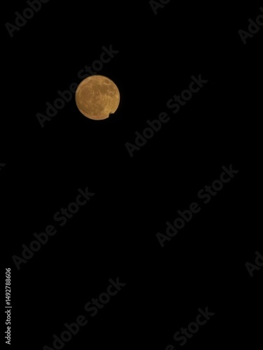 full moon in the night