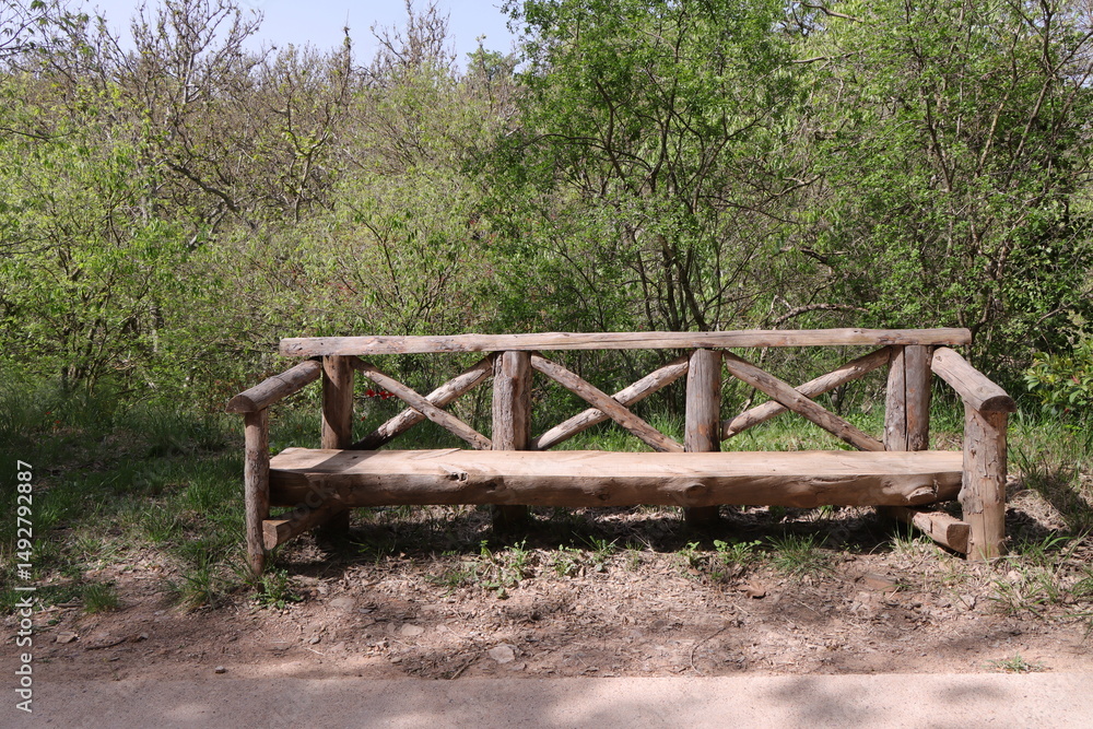 Wooden bench in the park among the trees Wooden bench in the park among the trees