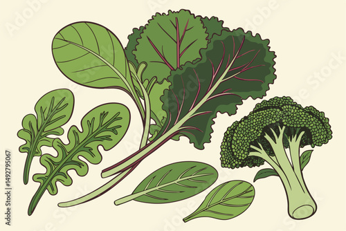 46 green leaves, fresh mint, spinach, lettuce, kale, cabbage, broccoli, assorted greens, healthy food, organic produce, natural background, studio shot, high contrast, vibrant colors, still life photo