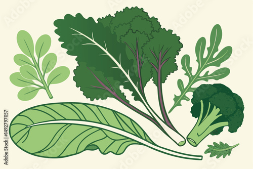 46 green leaves, fresh mint, spinach, lettuce, kale, cabbage, broccoli, assorted greens, healthy food, organic produce, natural background, studio shot, high contrast, vibrant colors, still life photo