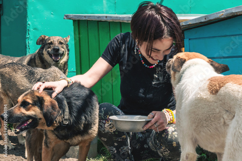 Dog at the shelter. Animal shelter volunteer takes care of dogs.