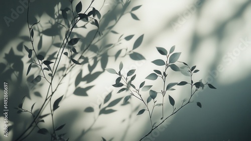 Fine plant stems and shadows elegant linear botany, delicate leaves, minimalist composition, interplay of natural light and soft contrast