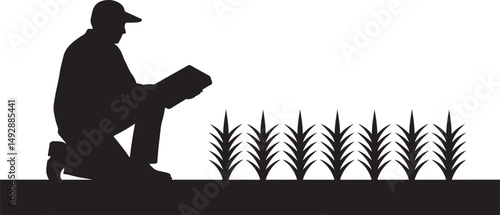 Silhouette of Farmer Inspecting Rice Plants