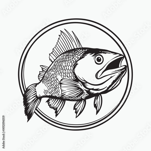 fish on a white