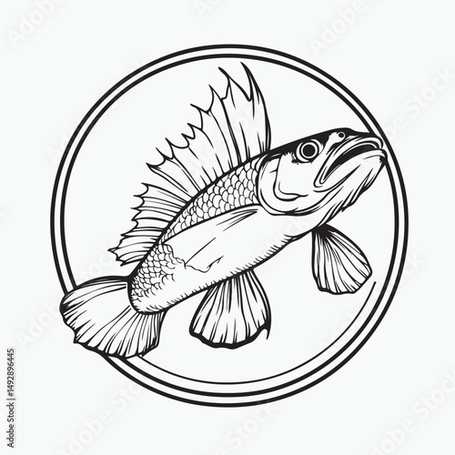 vector illustration of a fish