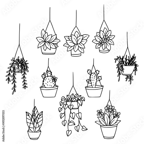 assorted hanging planters line art
