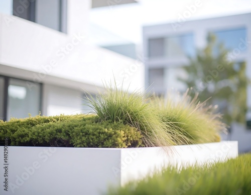 Tranquil Urban Environment – Greenery Blends with Sleek Architecture