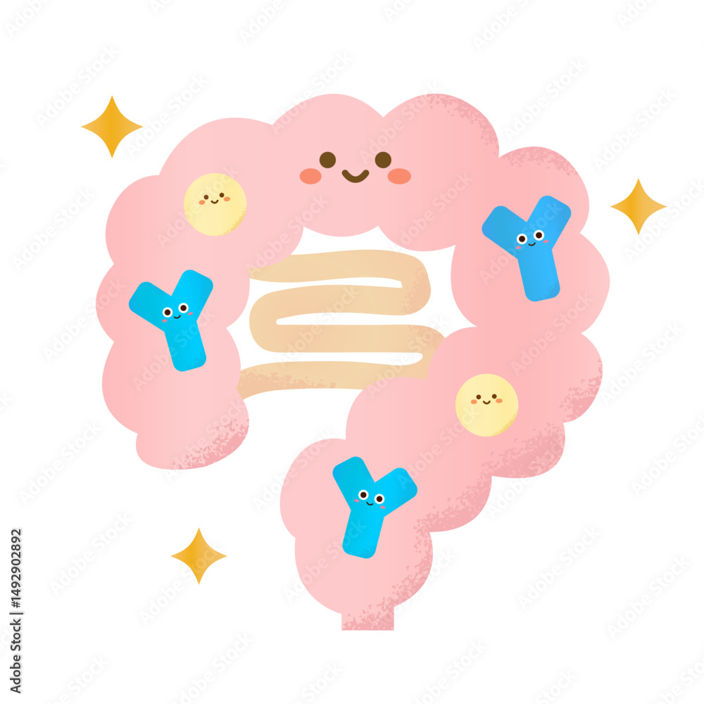 腸内にいるかわいいビフィズス乳酸菌 腸内にいるかわいいビフィズス乳酸菌
