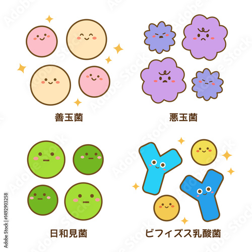 かわいい腸内細菌セット