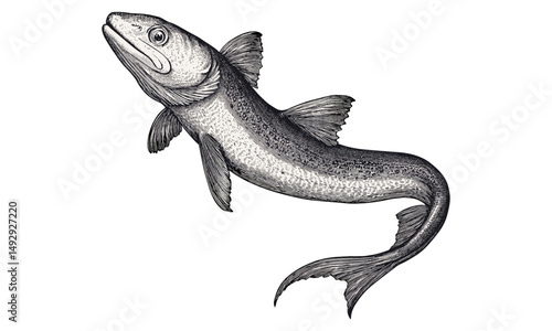 Eel Swimming, Vintage Ocean Life Illustration, Monochrome Aquatic Creature Print, Black Sketch Art, Hand-drawn Marine Etching, Old Engraving Style, Sea Life Poster, modern coastal artwork