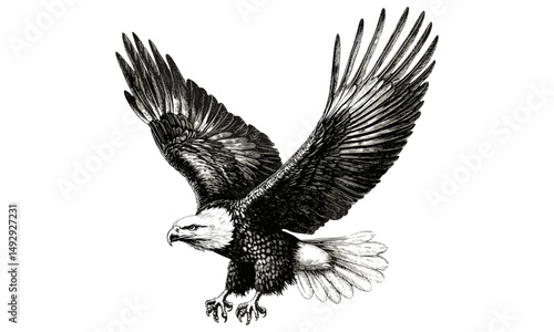 Eagle Spreading Wings, Black Sketch Effect, Hand-drawn Vintage Bird Art, Rustic Wall Decor, Wildlife Engraving, Antique Nature Print, Old Engraving Style, Trendy Vintage Art, Rustic Bird Print