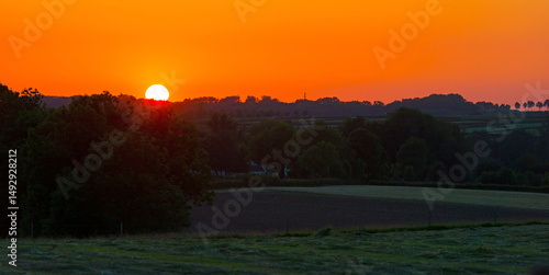 Green foliage of trees, reed and a rolling landscape at a bright sunset in springtime, Voeren, Limburg, Flanders, Belgium, May 17, 2025