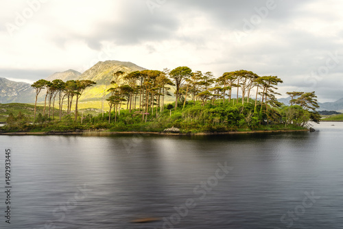 Pines Island im Derryclare Lough, Connemara, Irland