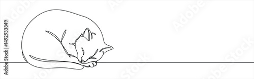 Cat continuous one line drawing. Kitty sleeping sweetly in simple linear style.