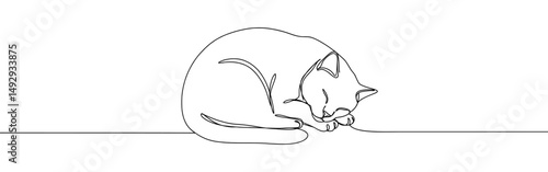 Cat continuous one line drawing. Kitty sleeping sweetly in simple linear style.