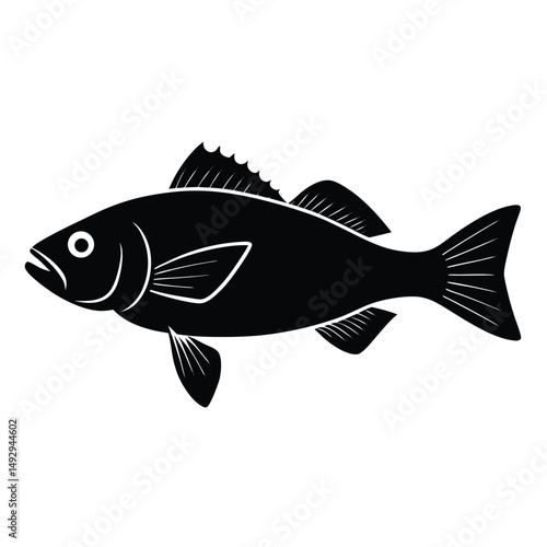 fishmonger element isolated sea bass on white background 