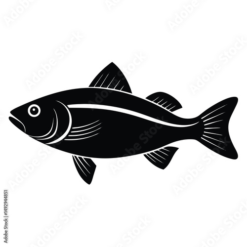 fishmonger element isolated sea bass on white background 